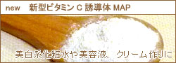 �r�^�~��C�U���̃p�E�_�[MAP