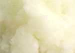 �p���v�L���V�[�h�o�^�[