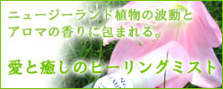 ���Ɩ����̃q�[�����O�~�X�g