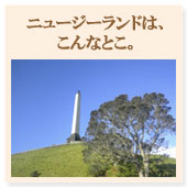 �j���[�W�[�����h�́A����ȂƂ��B