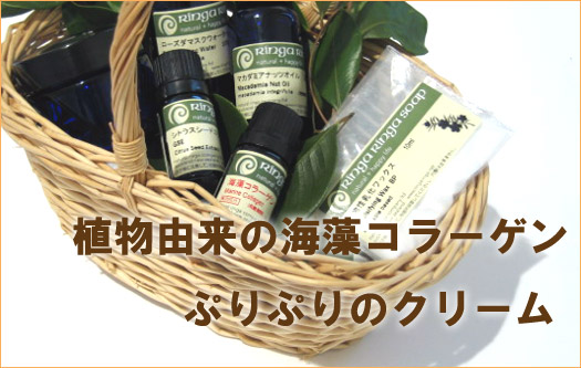 海藻コラーゲンクリーム