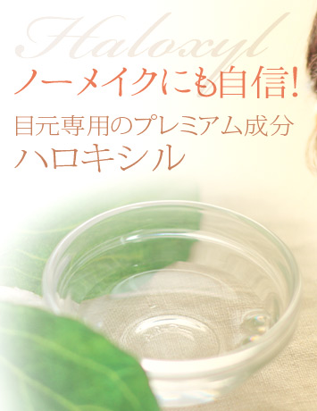 目クマ対策のハロキシル