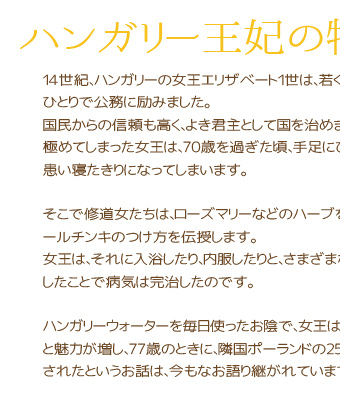 ハンガリー王妃の物語