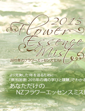 2015年の魂の学びと課題